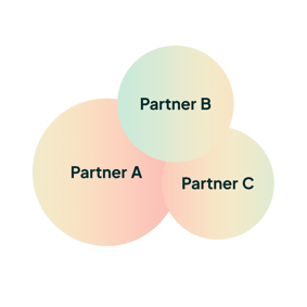 network_overlapping_partners